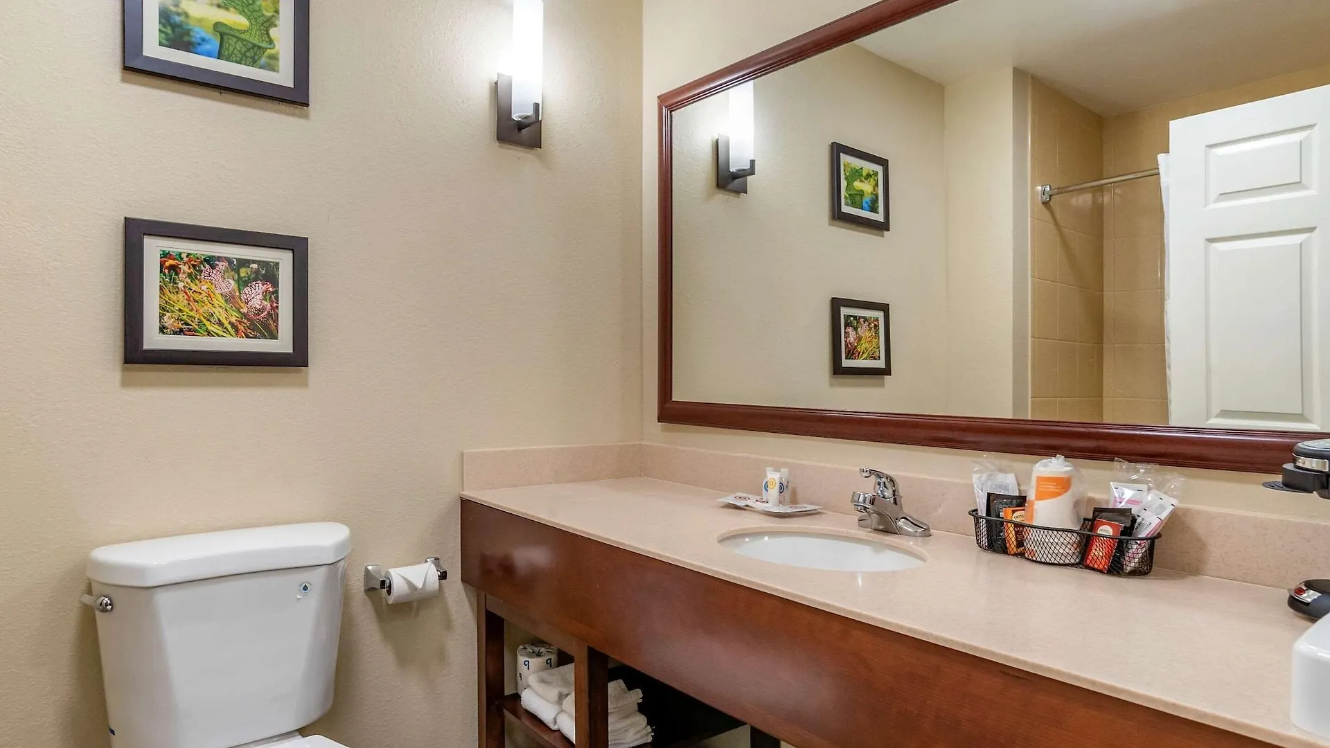 Hotel Comfort Suites Niceville Near Eglin Air Force Base
